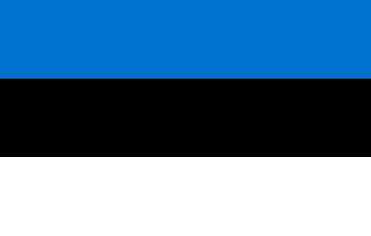 Create 8 register a company in Estonia